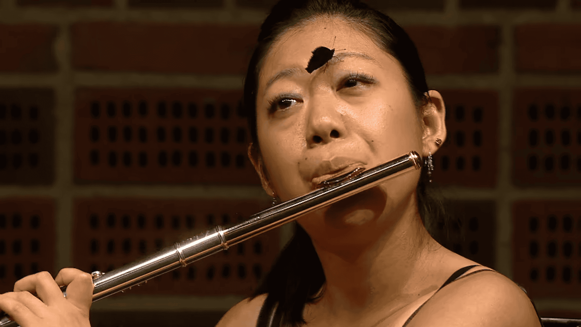 Butterfly Lands on Flautist’s Forehead During Live Performance — And She Doesn’t Miss a Single Note